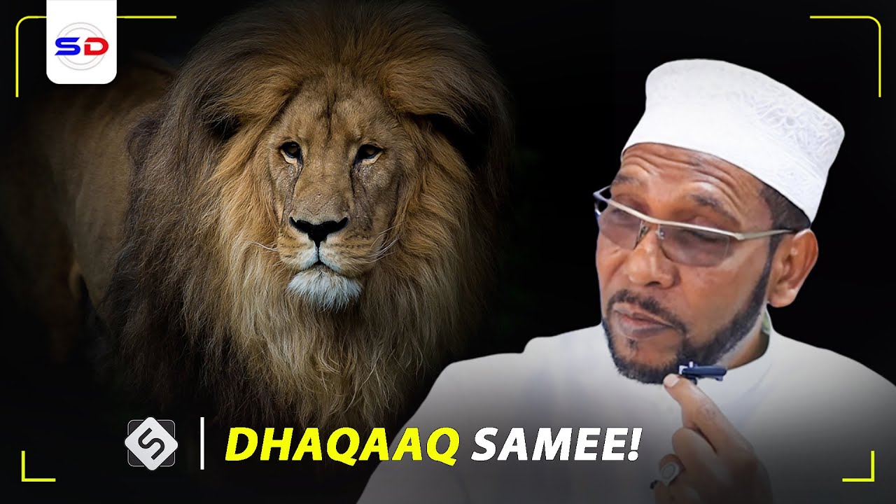 Sh Abubakar Xoosh | Dhaqaaq Samee Inta aanad  Qiimo Beelin + Ninkii 30 Ka Sano Aduunka Ku Wareegay!