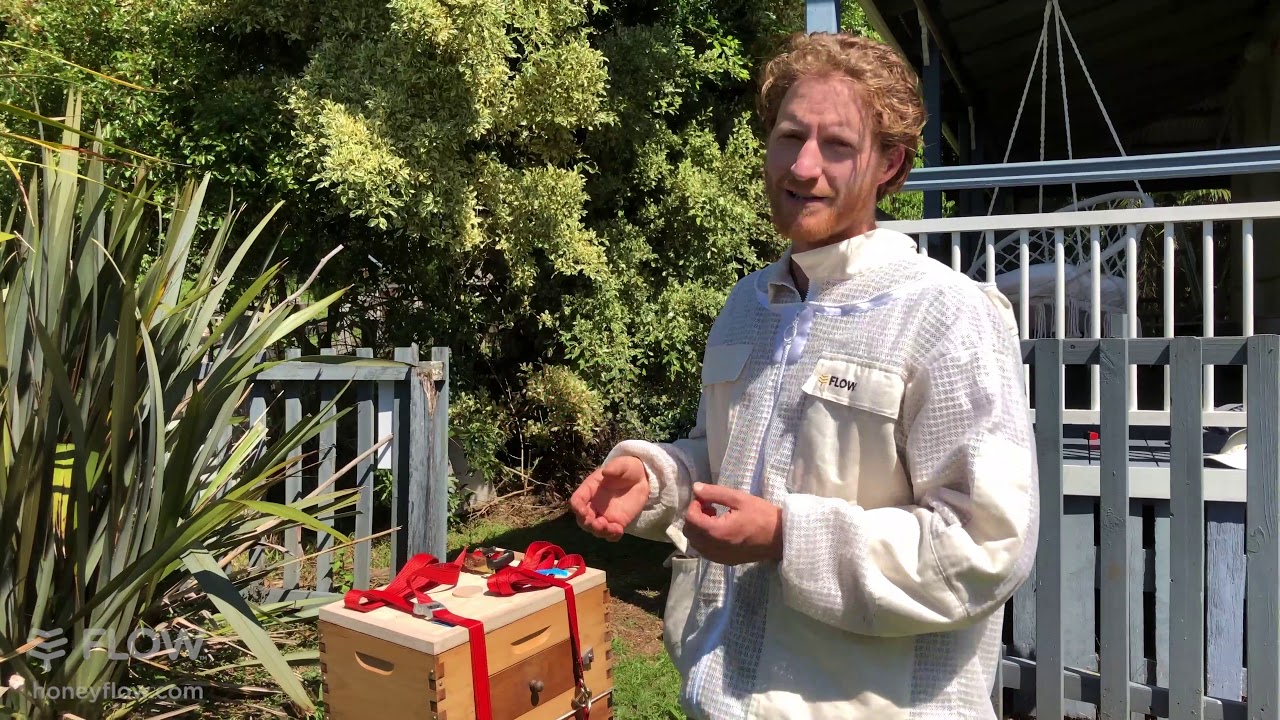 How to move a bee hive a long distance🐝 [LIVE]