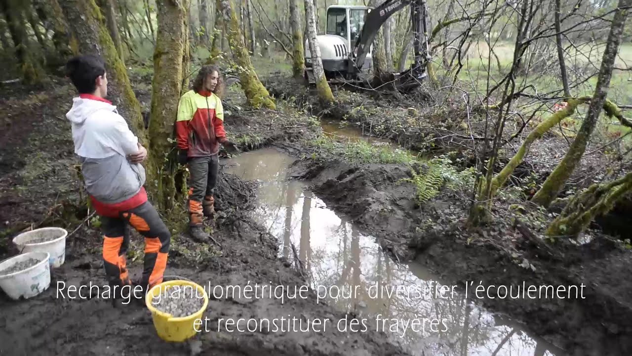CACES en BAC pro GMNF faune aquatique