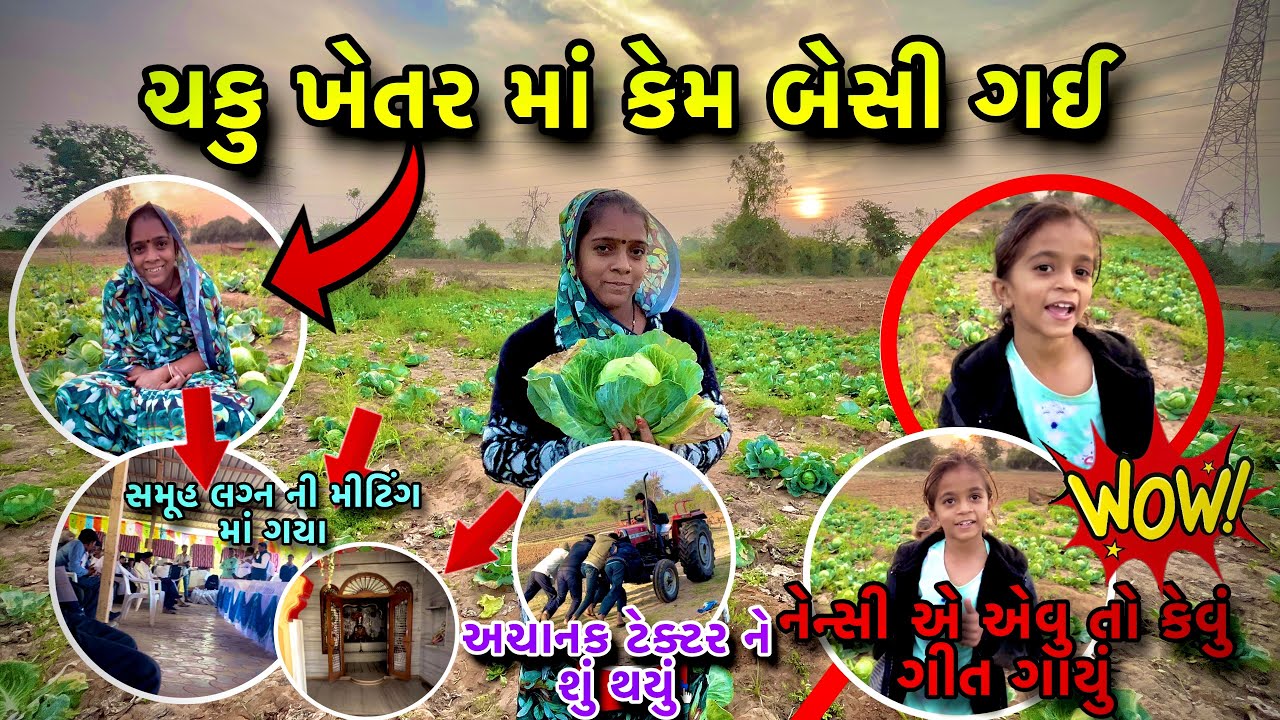 એવું તો શું થયું તે ચકુ ખેતર માં  બેસી ગઈ #gujarativlog #vlog 