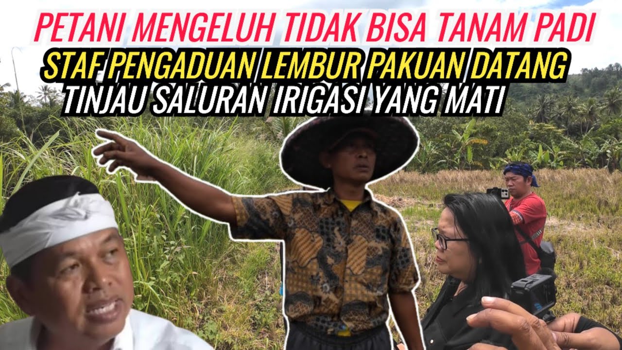 STAF PENGADUAN LEMBUR PAKUAN KDM DATANG LANGSUNG TINJAU IRIGASI YANG MATI 