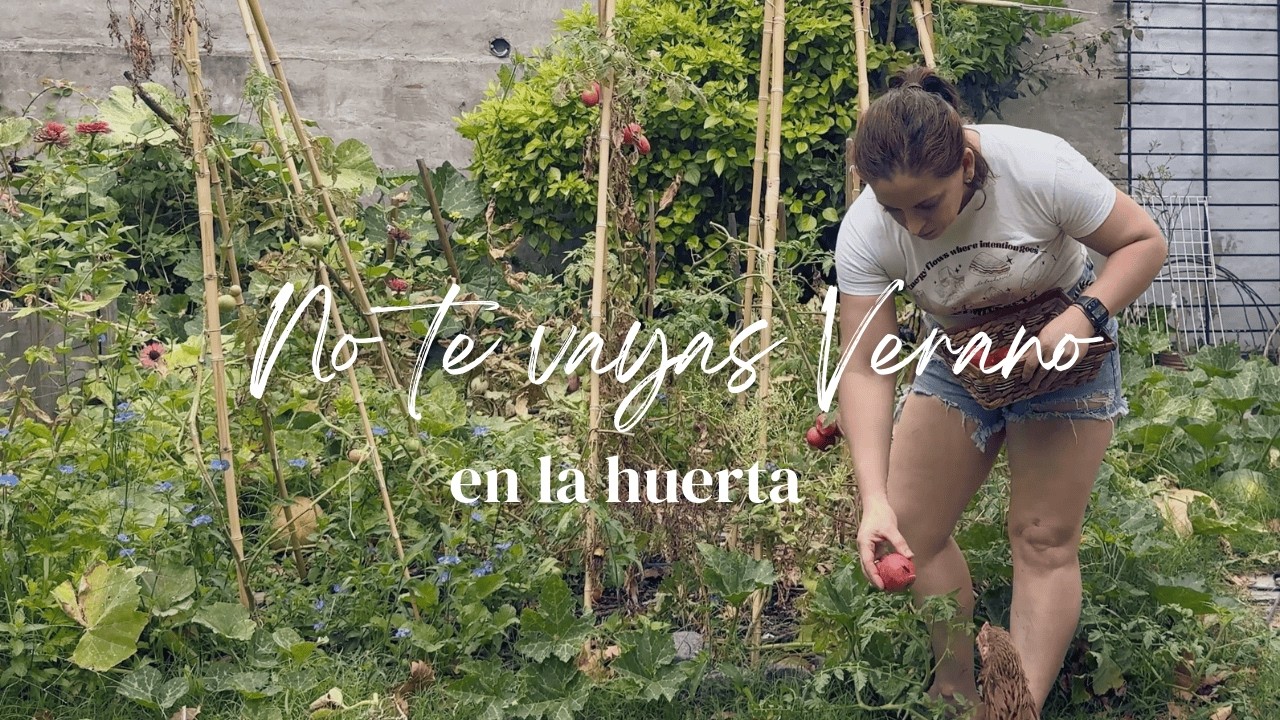 No te vayas verano | Primeros zapallos, ultimos tomates y muchas semillas...
