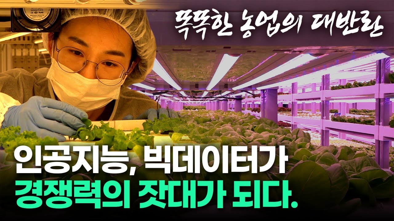 스마트팜 ! 21세기 농산물 전쟁에서 살아남는 기술!    인공지능, 빅데이터 접목한 똑똑한 농업 기술을 탑재해야한다. [농업이 미래다 14] 20191029