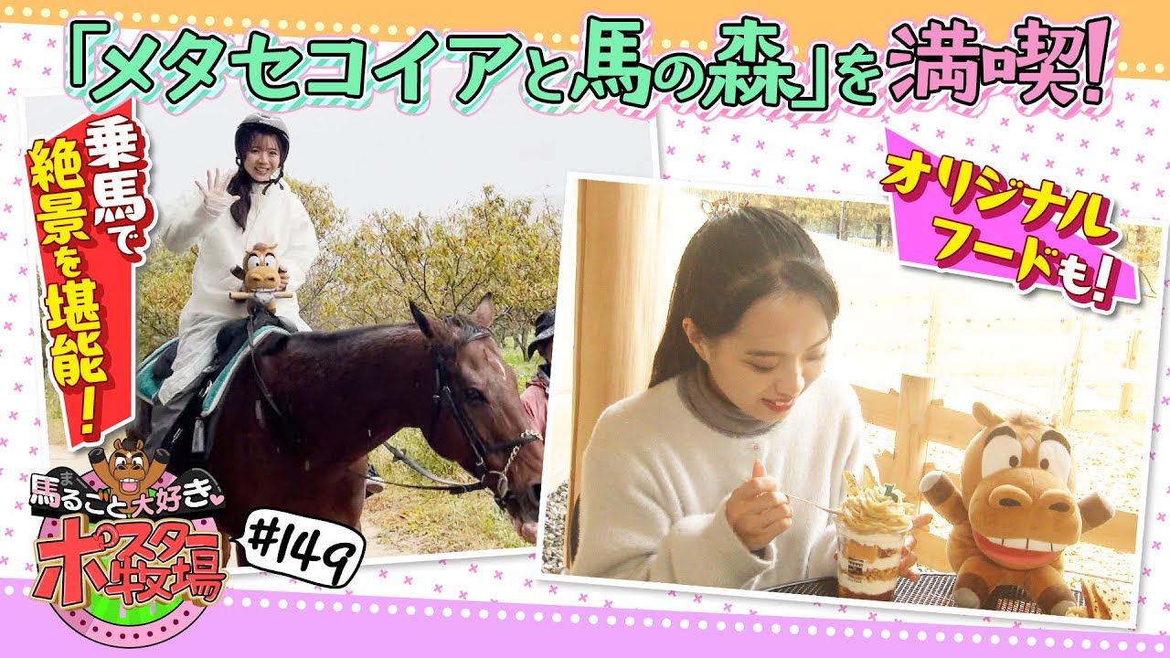 馬るごと大好き♡ポスター牧場　第１４９話「メタセコイア並木と馬の森②」