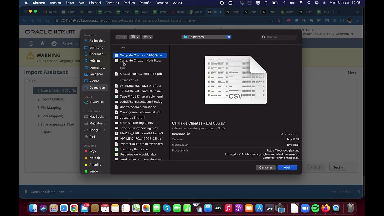 NETSUITE CARGA DE DATOS MASIVA CON ARCHIVO CSV