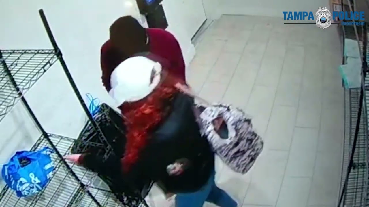 VIDEO: Tampa PD searching for package theft suspect