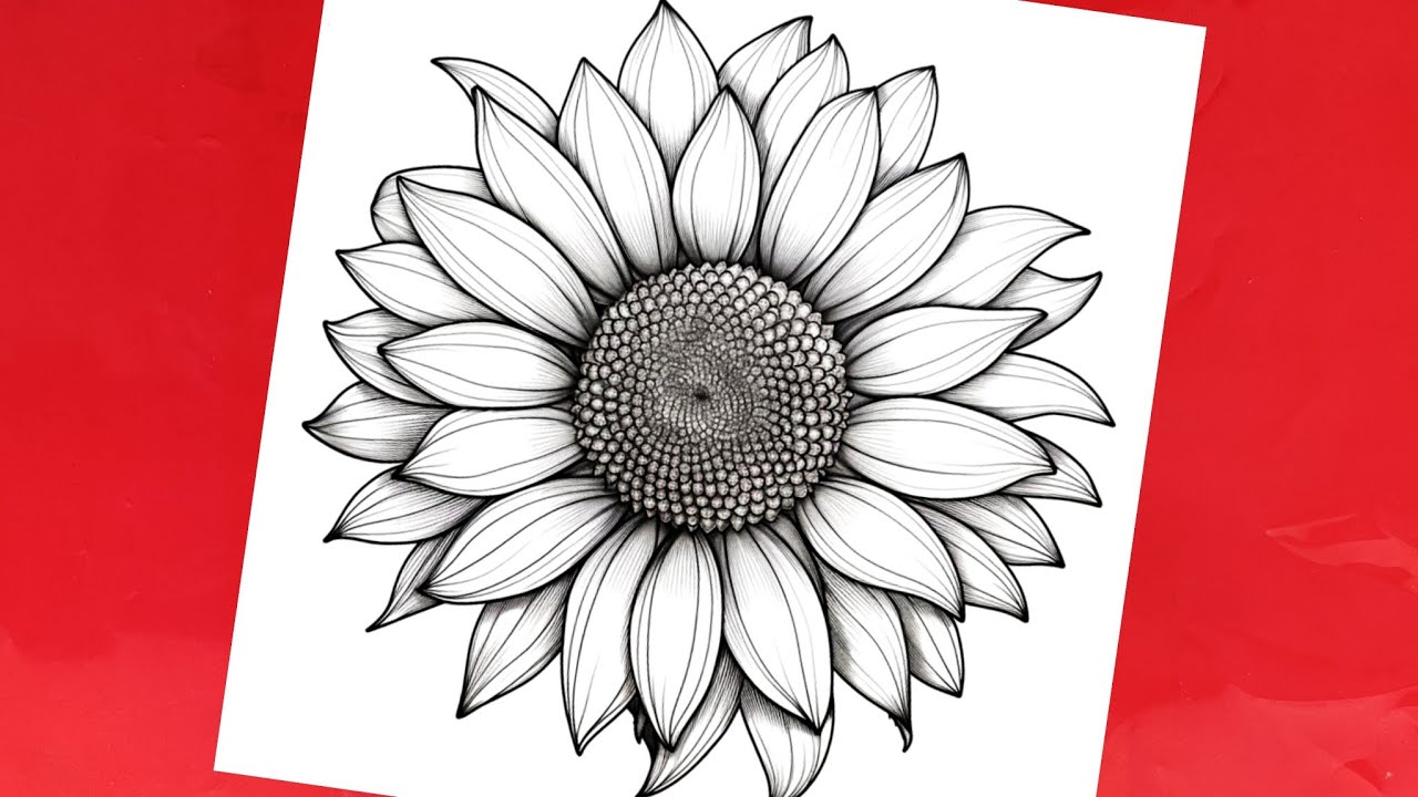 Beautiful Sunflower Drawing | Easy Step by Step Pencil Sketch Tutorial 🌻✏️