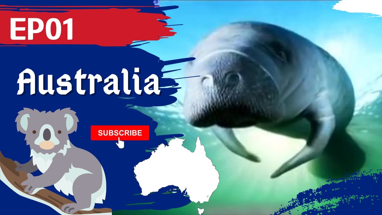 Focus Australia | 🌍Earth Focus🌍 | EP01 | 聚焦全世界 | 聚焦澳洲