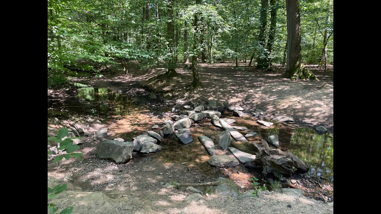 Radtour Wahner Heide, K&ouml;nigsforst, Forsbach, R&ouml;srath, Altenrath