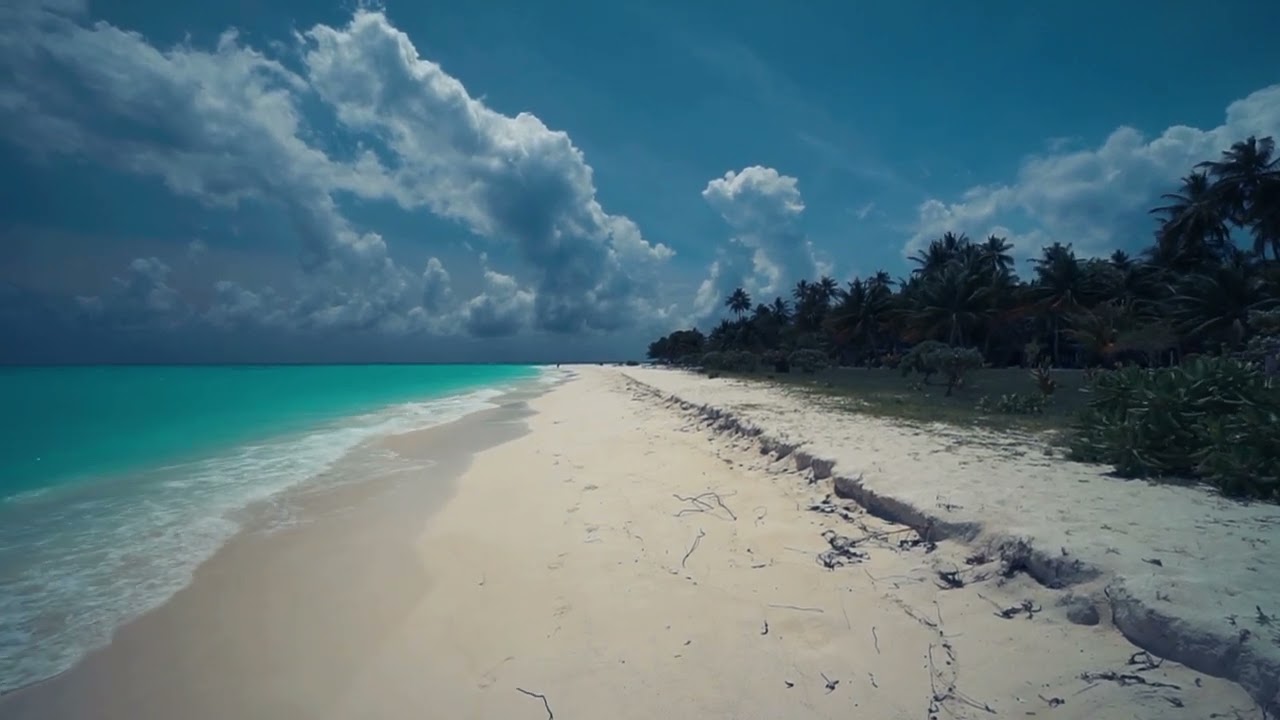 Tropiqo - You & I ( Kygo Style ) #newsong #tropical #chill #vibes #summer #new #viral