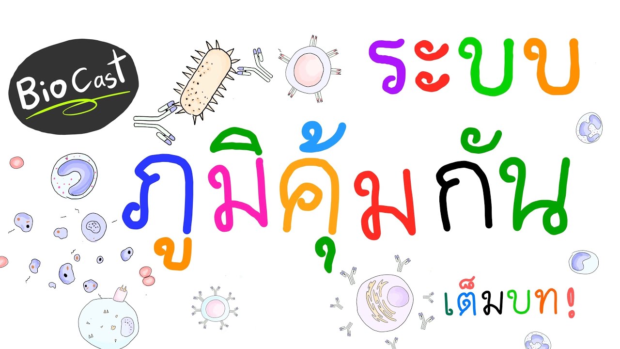 BioCast ep.5 ระบบภูมิคุ้มกัน (เต็มบท)