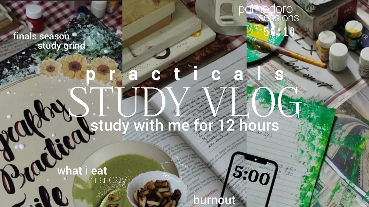 12 hours study vlog💌5:00 am wake up,study with me for finals,pomodoro sessions,what i eat,practicals