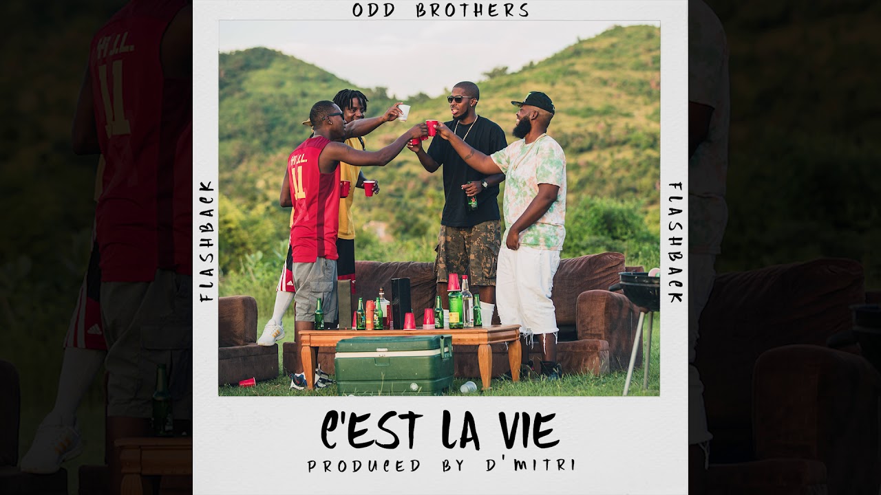 Odd Brothers - C'est La Vie