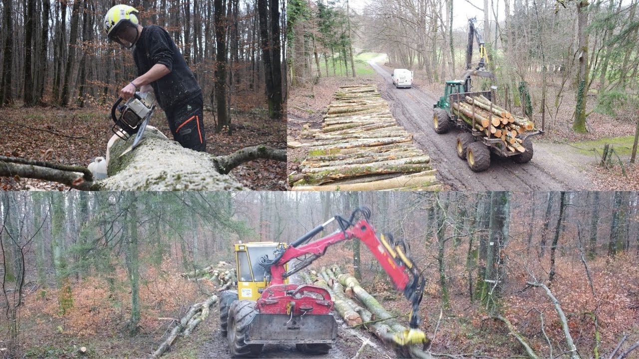 D&Eacute;COUVREZ L'EXPLOITATION FORESTIERE BILLOT&HENGY BOIS /ALSACE/