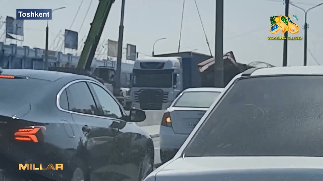Chilonzor tumanida sodir bo‘lgan yo‘l transport hodisasi yuzasidan maʼlumot