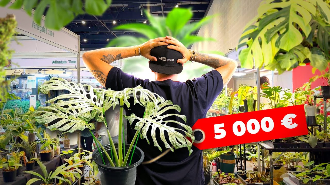 Le PLUS GROS salon de plantes du monde 🌍🌿 (+ une journ&eacute;e avec moi) - TOOPET