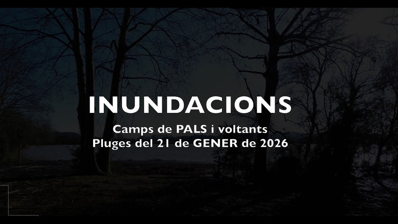Inundacions dels camps de Pals - Pluges del 21 de gener de 2026