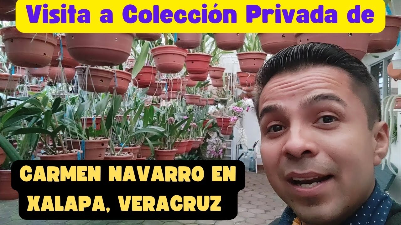 Visita a Colección Privada de Carmen Navarro en Xalapa, Veracruz.