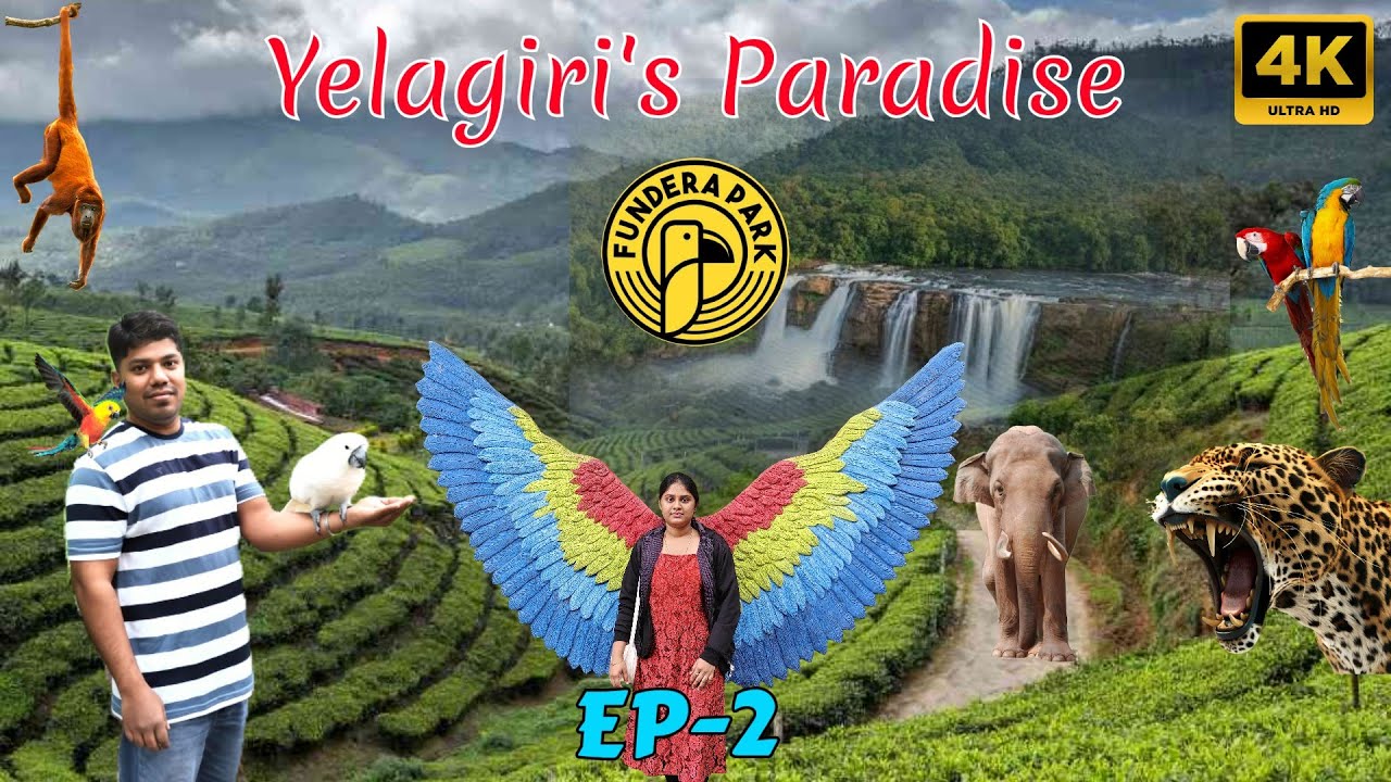 Yelagiri Hills |Day 2: Was it Worth the Drive?⛰️🤔|Road Trip 🚗|Tamil Travel Vlog|EP-2|Vlog - 9 #viral