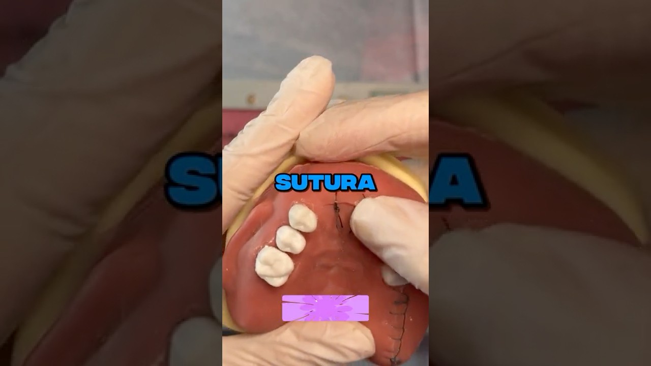 COMO fazer uma SUTURA SIMPLES? #suturas #odontologia #estudantedeodonto