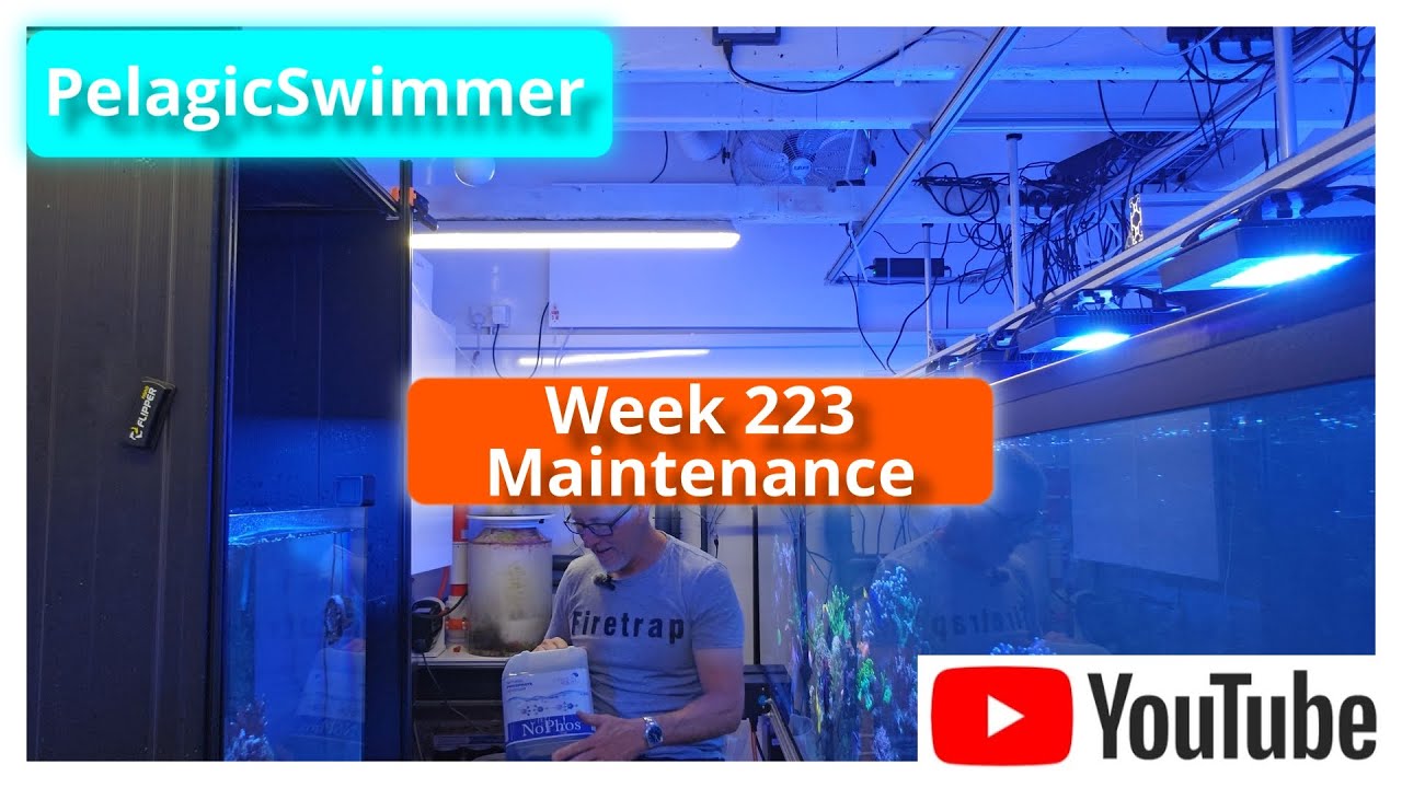 Week 223 Maintenance