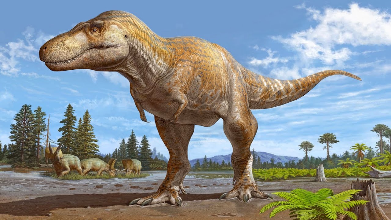 English - Grade 2 - Unit 6 - What do we know about dinosaurs?