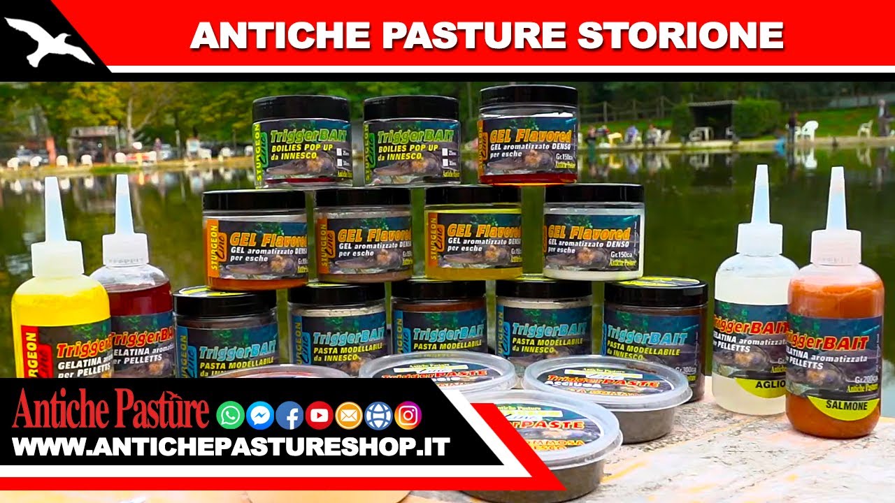 ANTICHE PASTURE - LINEA STORIONE