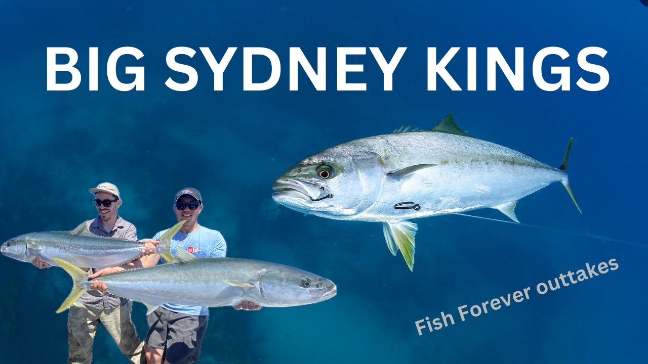 BIG SYD KING