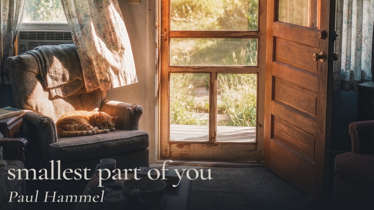 Smallest Part of You - Paul Hammel | Indie Folk Song