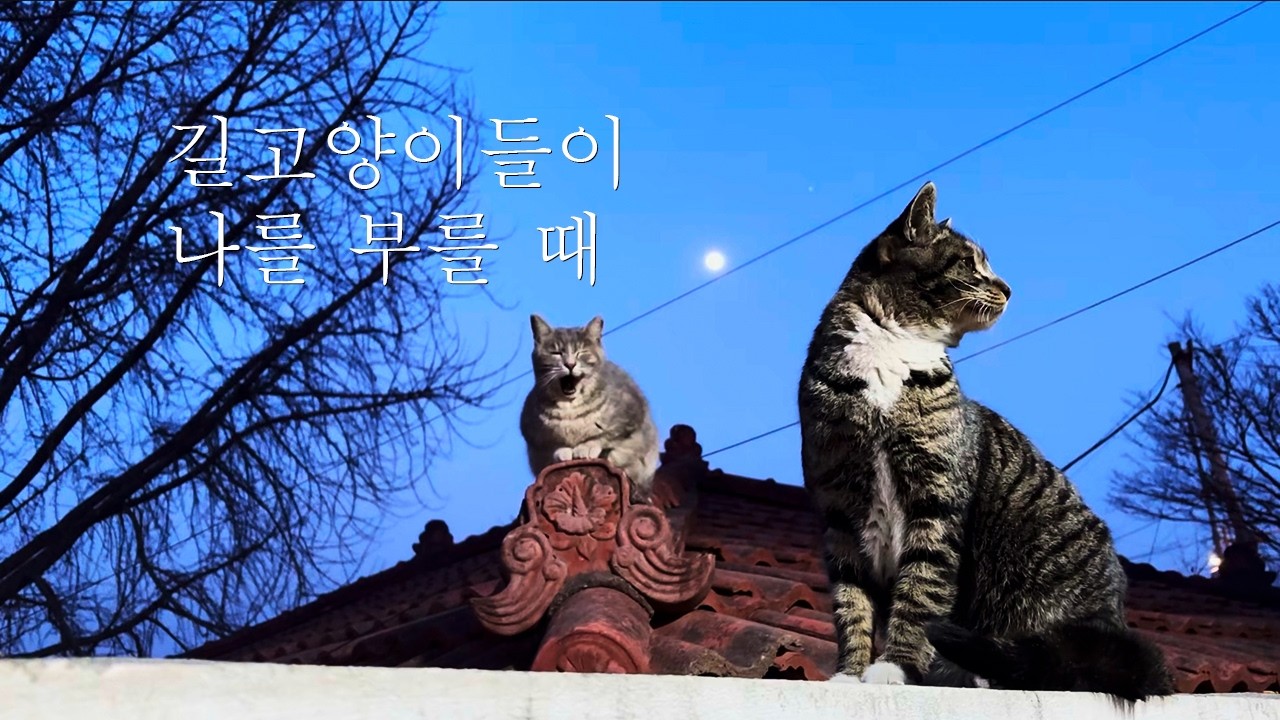 어디선가 누군가가 부르고 있다! 당신도 모르는 사이에 당신을!