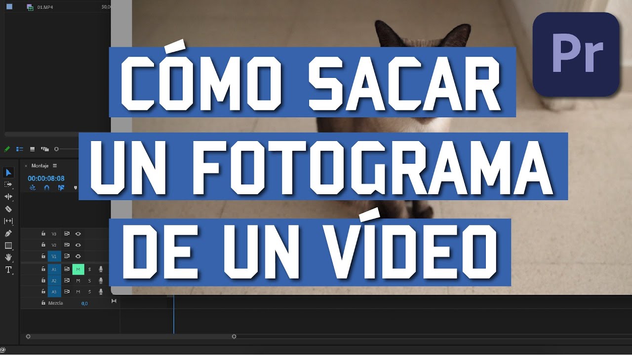 C&oacute;mo sacar un FOTOGRAMA de un V&Iacute;DEO en Premiere