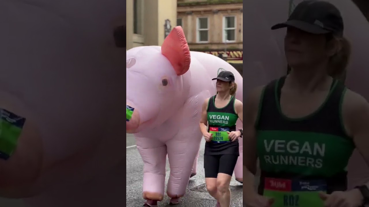 The AJ Bell Great Scottish Run Vegan Runners