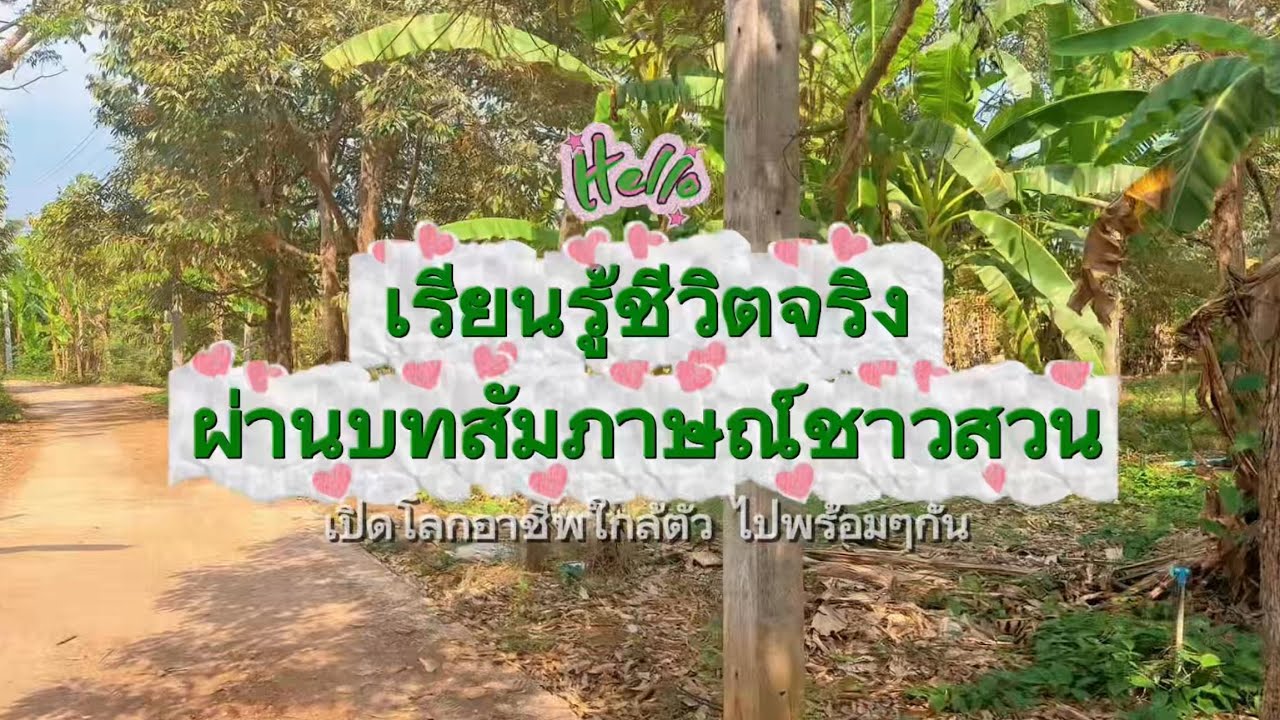 (ส่งงาน) สัมภาษณ์อาชีพชาวสวน เล่าจุดเริ่มต้นและชีวิตชาวสวน