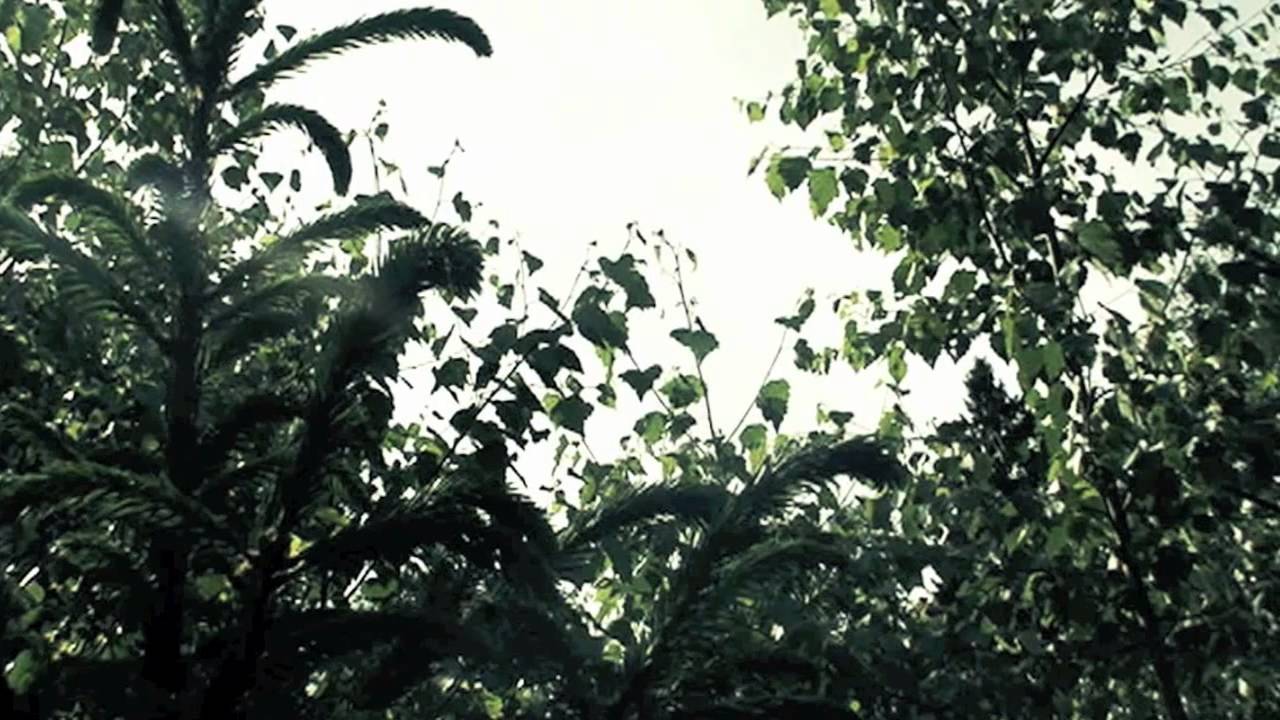 RASA SERRA "Renčiau stonužę" Lithuanian folklore [Acappella]