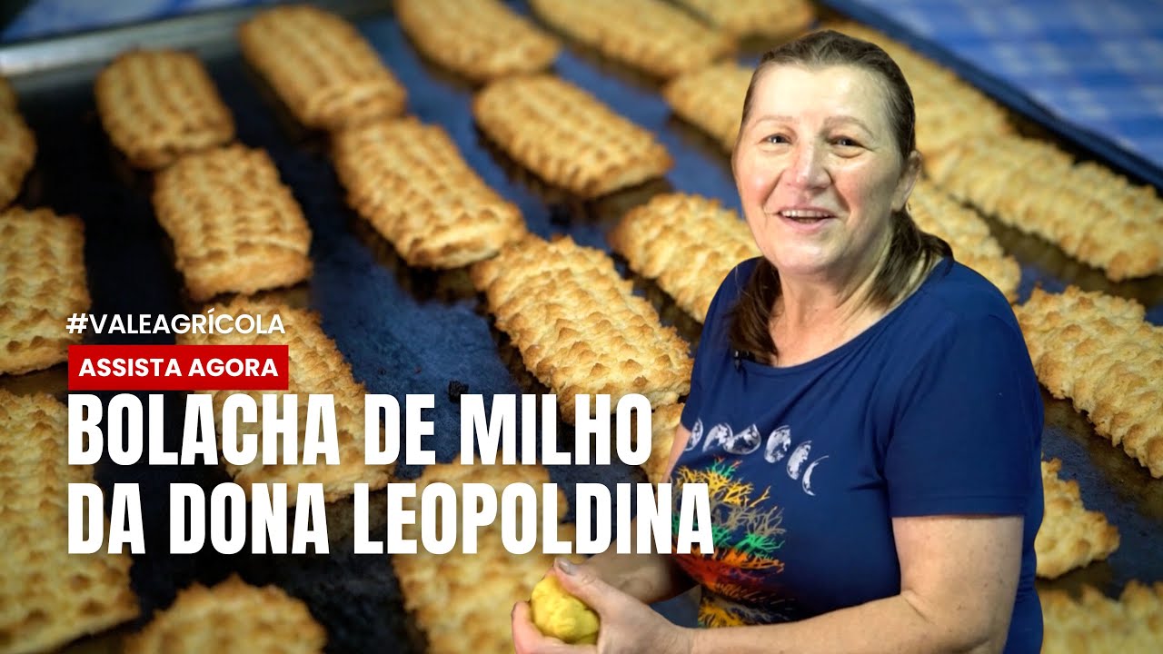 Receita da roça que nunca falha: bolacha de milho