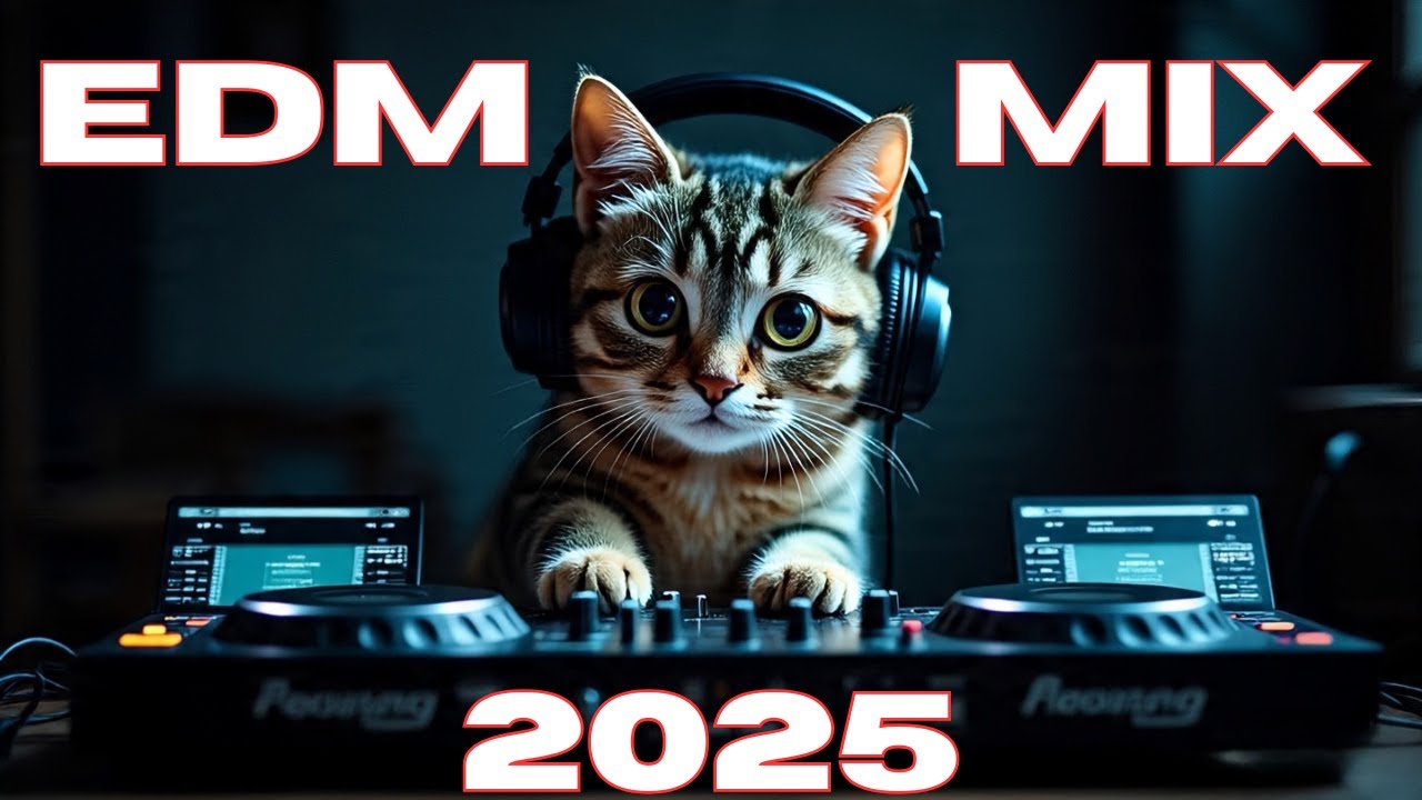 BEST EDM PARTY SONGS MIX 2025 | EDM CLUB HOUSE DANCE PARTY REMIXES OF POPULAR SONGS DJ MIXES 2025