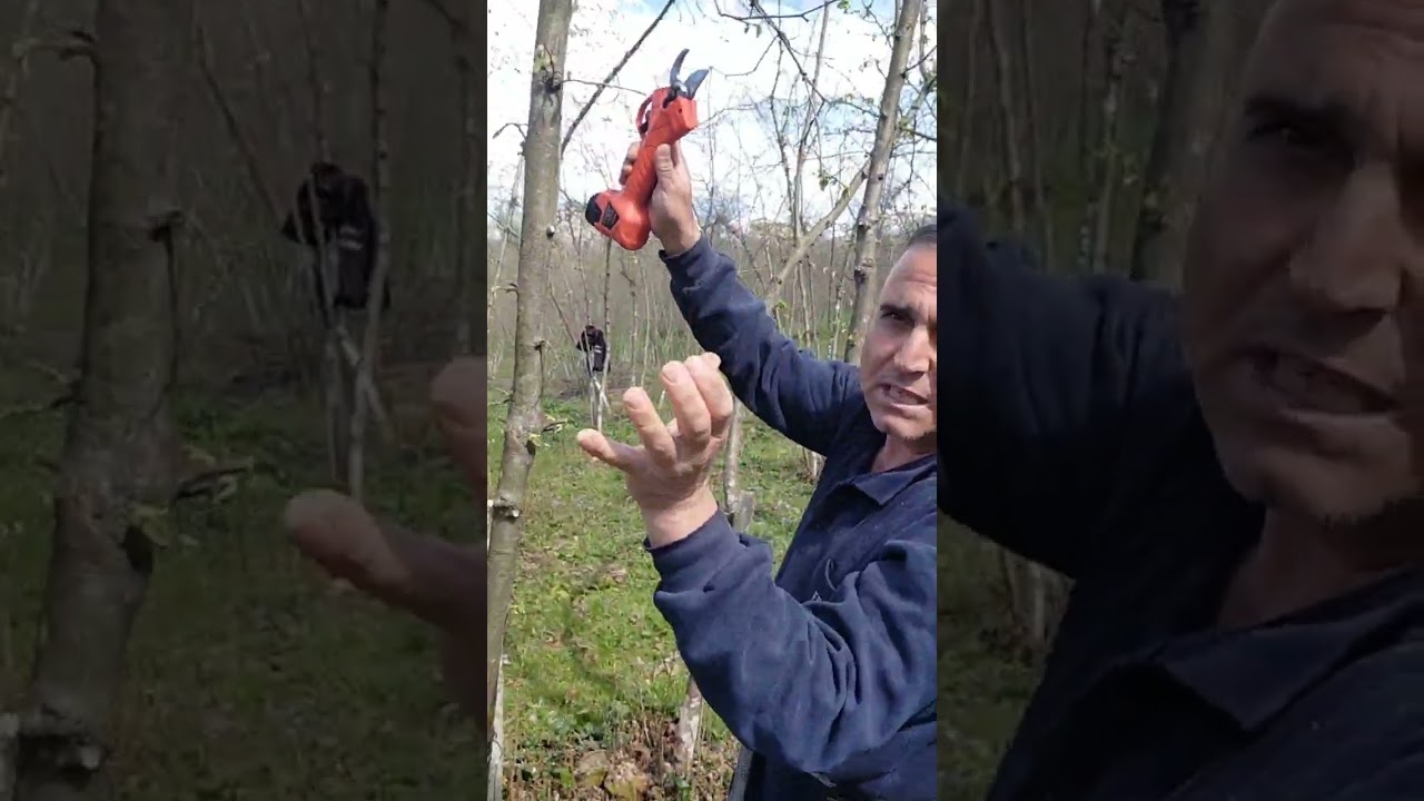Abone ol Özarslan ziraat yüksek verimlilik al