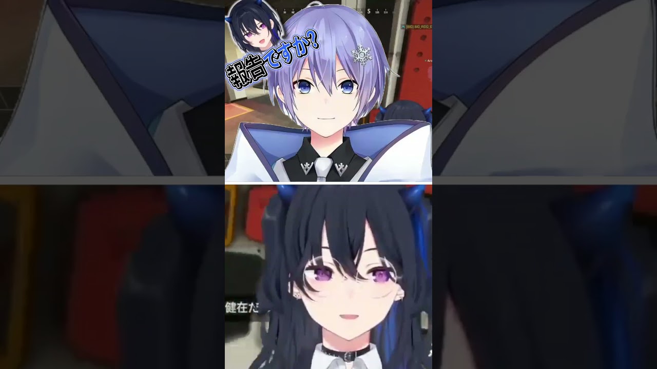 それが「報告･連絡･相談」のどれなのかをいちいち聞く一ノ瀬とありさか　#一ノ瀬うるは #白雪レイド #ありさか #ぶいすぽっ #ぶいすぽ #切り抜き #vtuber
