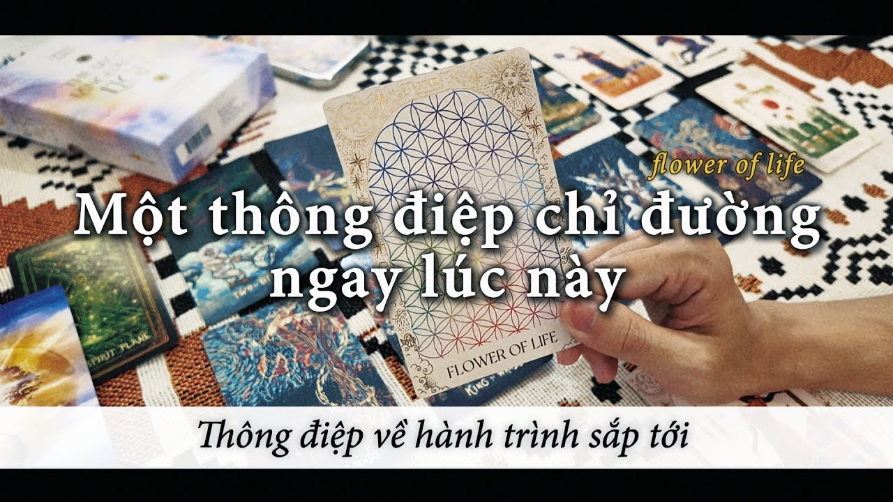 Một thông điệp chỉ đường ngay lúc này (không chọn tụ) 🪽🌳☺️ - EthanPi