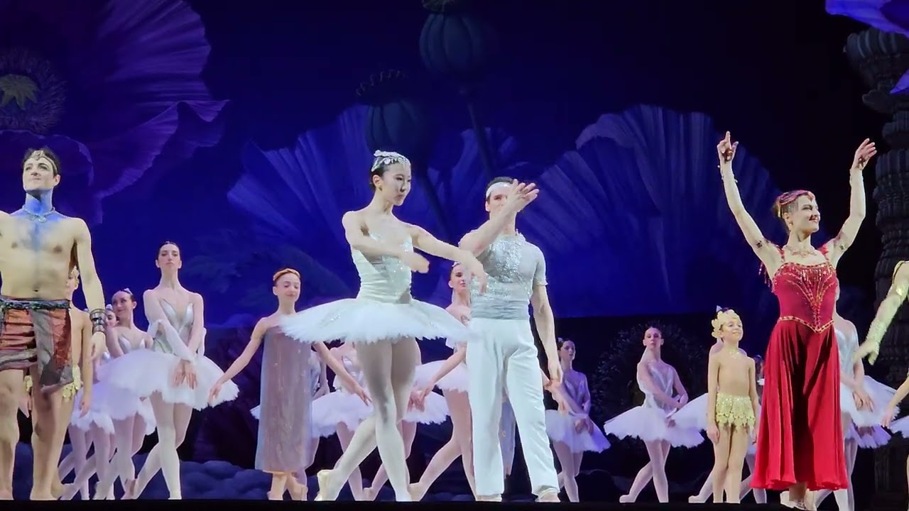 Baiadera balleto.  Opera di Roma. Febraio. 2026