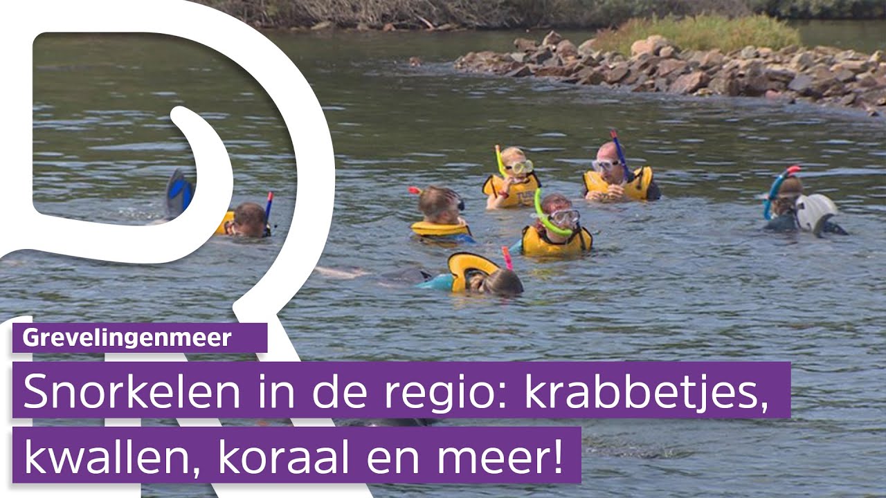 De onderwaterwereld van het Grevelingenmeer ontdekken