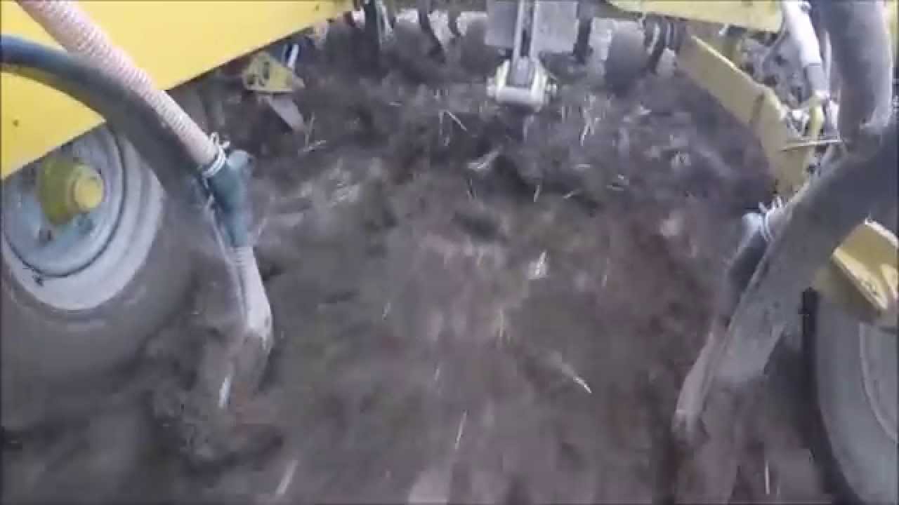 Kehoe Farming Sowing Beans