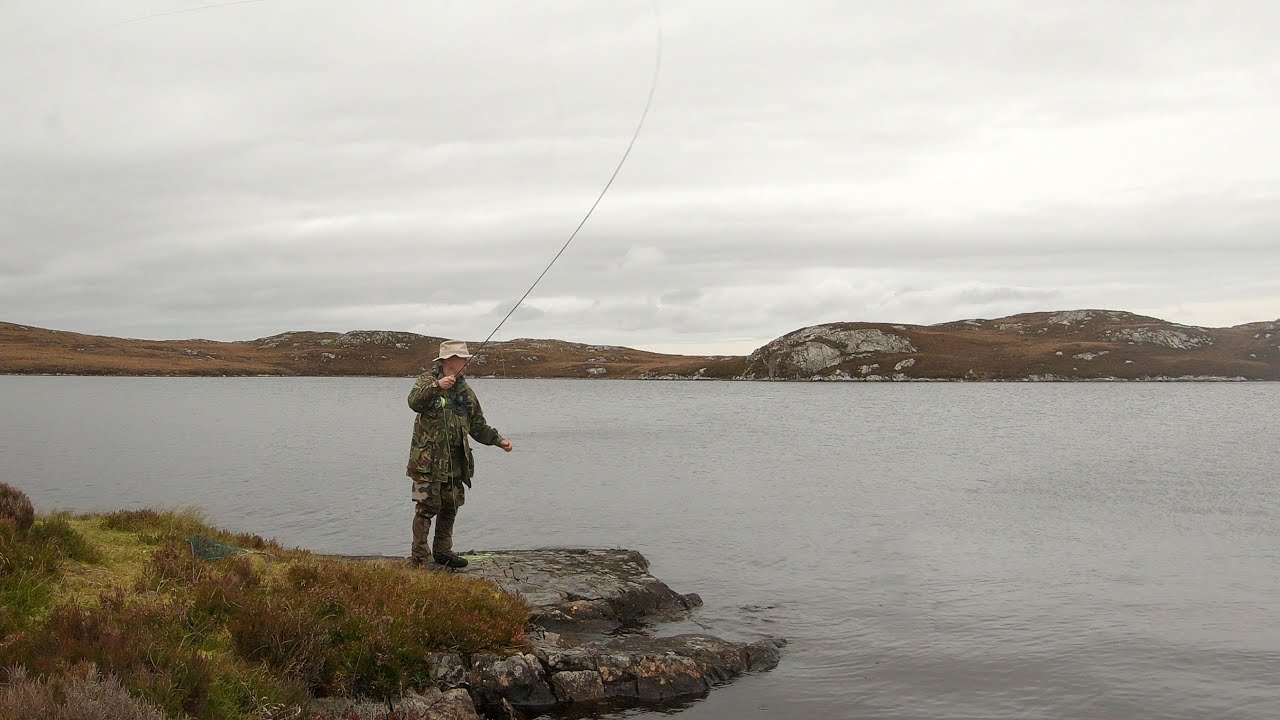 Hunt for a brown trout