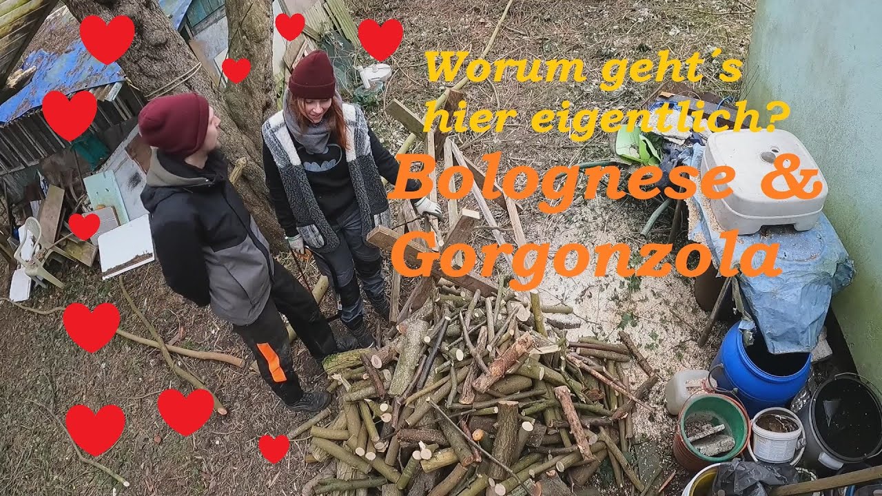 Es wird schon wieder ges&auml;gt - Holzliebe - WRECKED COMPANY