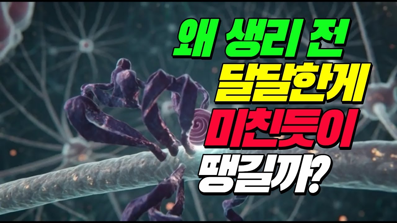 왜 생리 전엔 단 게 미친듯이 당길까? 뇌 속 '마약'이 범인이었습니다 (에스트로겐의 비밀)