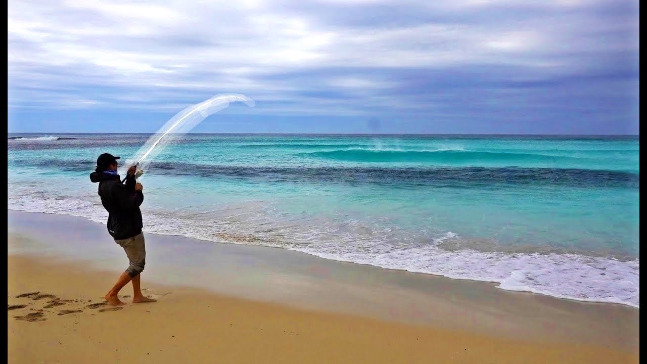 Beach full of FISH!