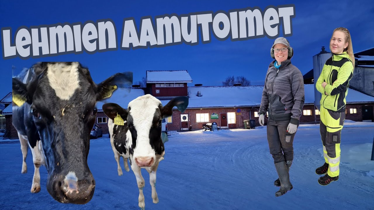 Matin konekanava aamulypsyllä  Hyrian opetusnavetassa