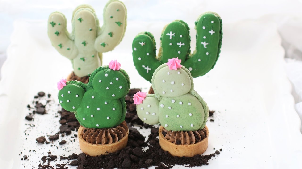 Succulent Macarons