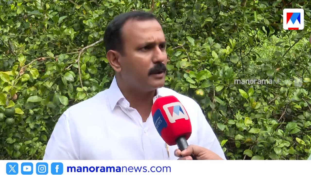 എംഎൽഎ ആകണമെന്നത് കുട്ടിക്കാലത്തെ ആഗ്രഹം; പാലായിൽ മത്സരിക്കാൻ ഷോൺ ജോർജ് | Shone George | Pala