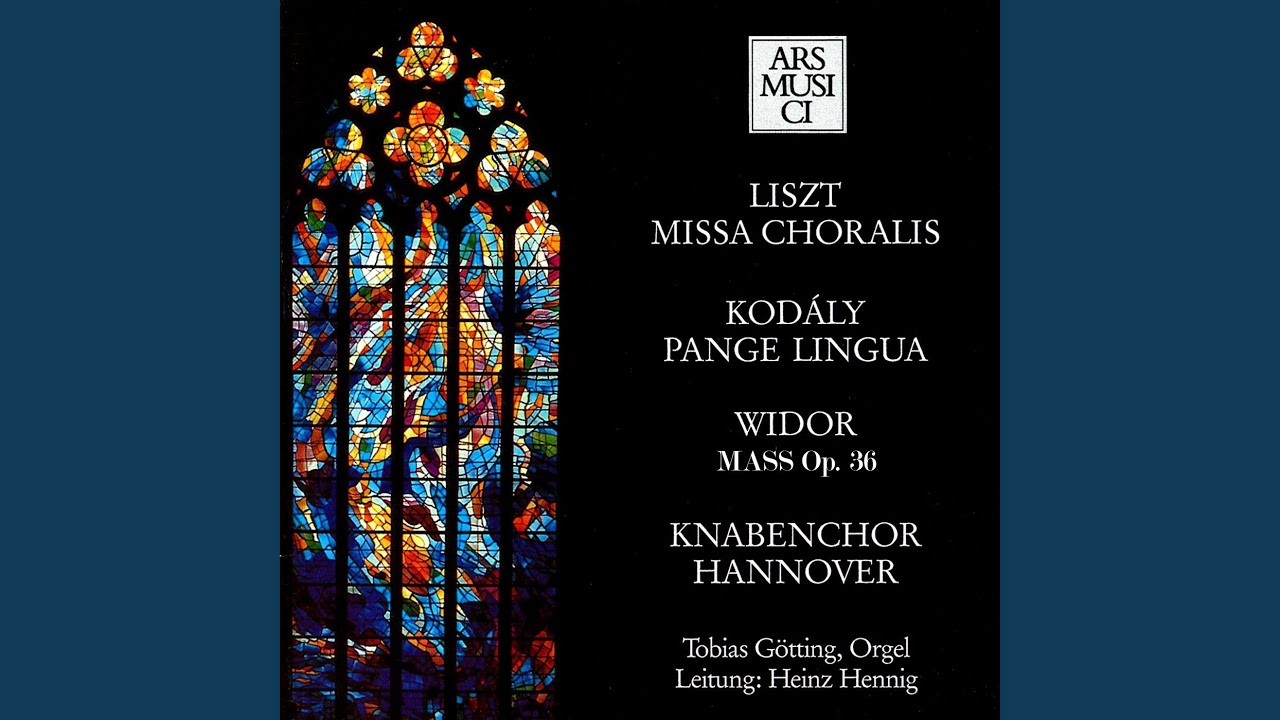 Missa choralis, S. 10: VI. Agnus Dei